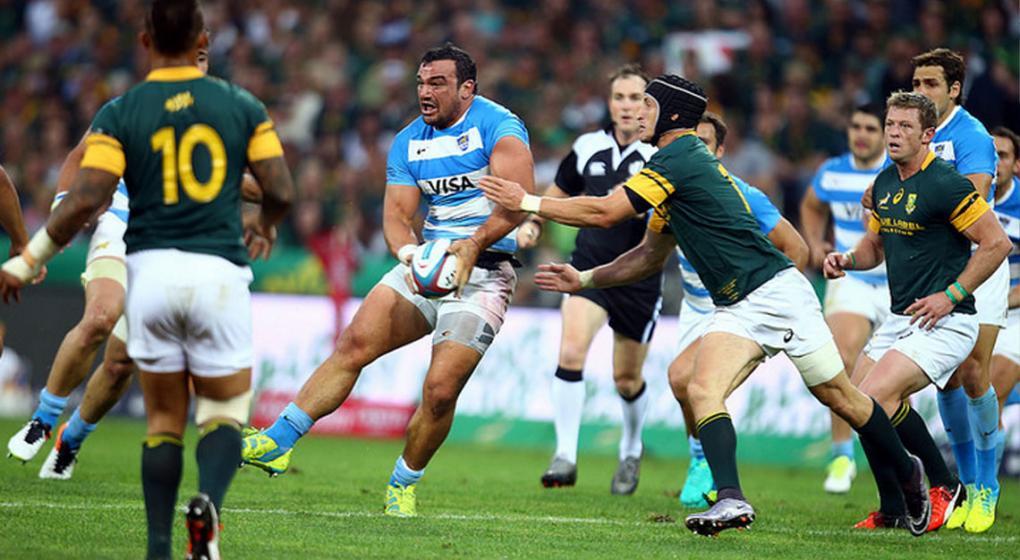 los pumas rugby los pumas rugby