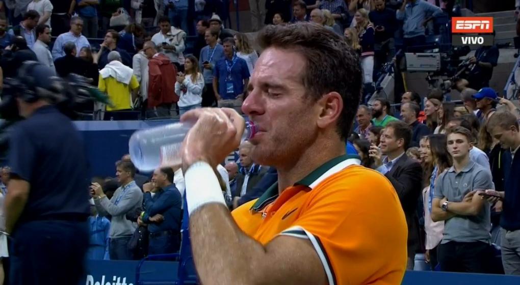 ¡Cómo duele! Las lágrimas de Juan Martín Del Potro tras la derrota con Djokovic