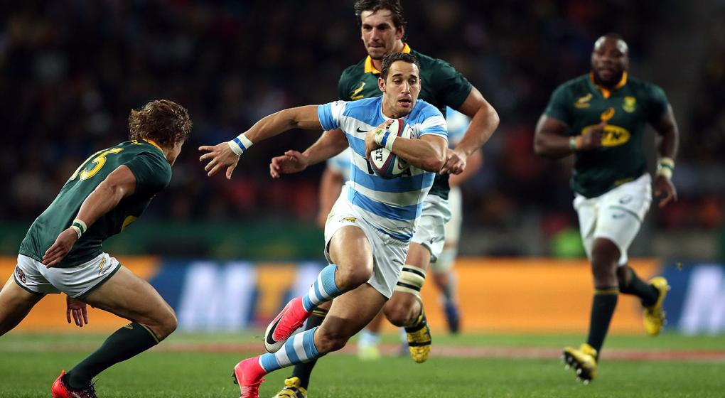 los pumas rugby los pumas rugby