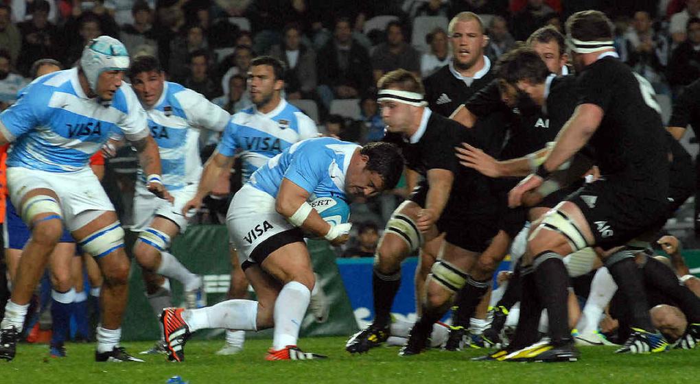 los pumas rugby los pumas rugby